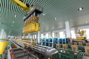 品质铸就辉煌 吕国铭见证长寿花玉米油与铭铠防霉抗菌的市场共赢